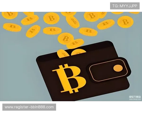 宝盈集团的主要业务模式和未来发展方向，为投资者提供详细指南